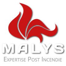 Logo carré Malys expertise post incendie
